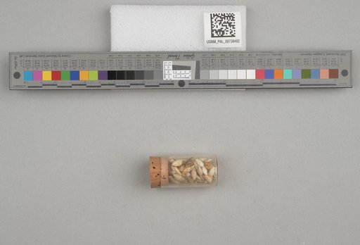 NSF ADBC EPICC TCN