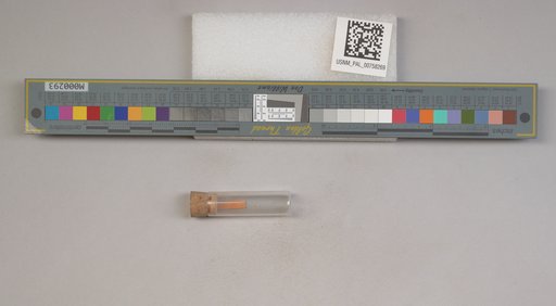 NSF ADBC EPICC TCN