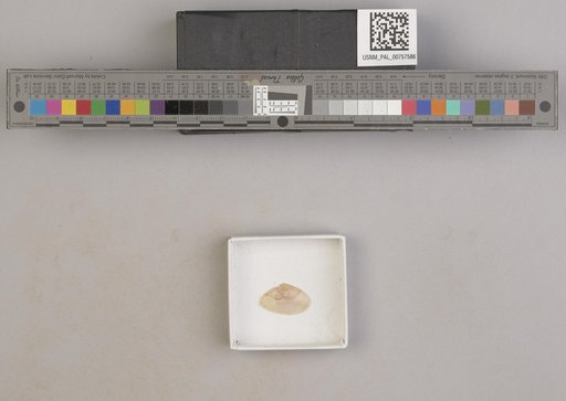 NSF ADBC EPICC TCN