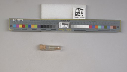 NSF ADBC EPICC TCN
