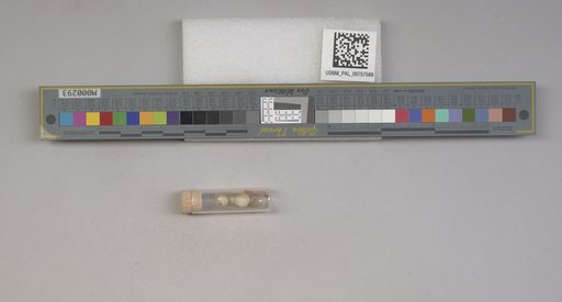 NSF ADBC EPICC TCN