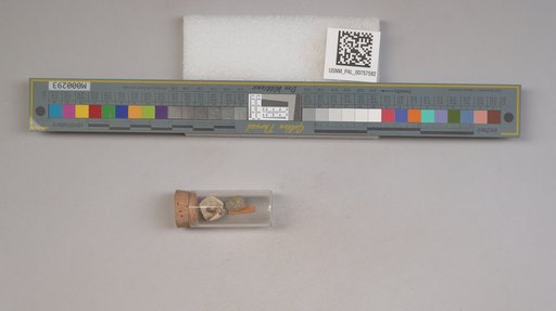 NSF ADBC EPICC TCN