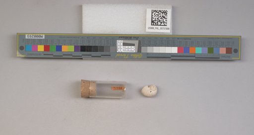 NSF ADBC EPICC TCN