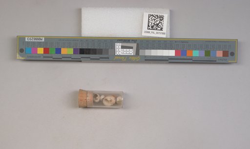 NSF ADBC EPICC TCN