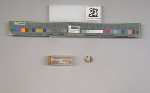 NSF ADBC EPICC TCN