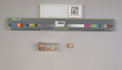 NSF ADBC EPICC TCN