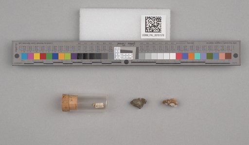 NSF ADBC EPICC TCN