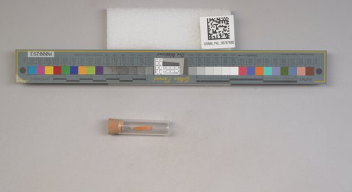 NSF ADBC EPICC TCN