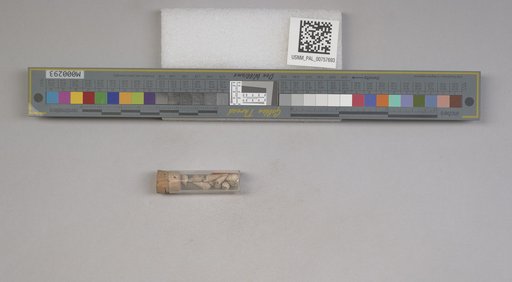 NSF ADBC EPICC TCN