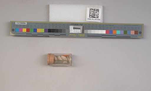 NSF ADBC EPICC TCN