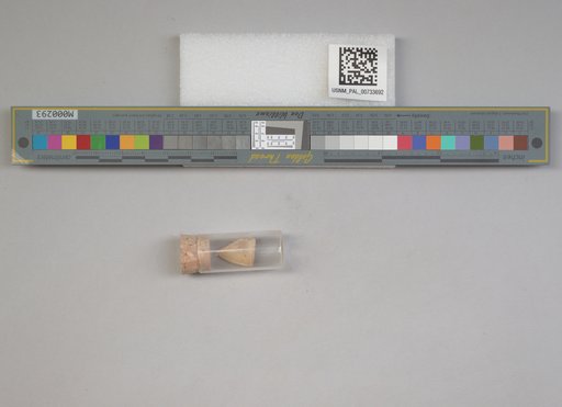 NSF ADBC EPICC TCN