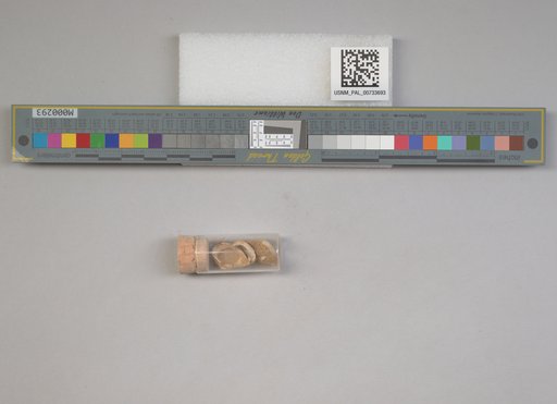 NSF ADBC EPICC TCN