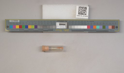 NSF ADBC EPICC TCN
