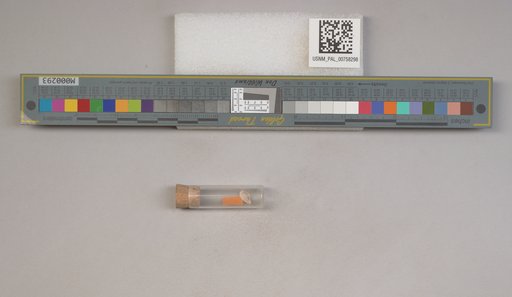 NSF ADBC EPICC TCN