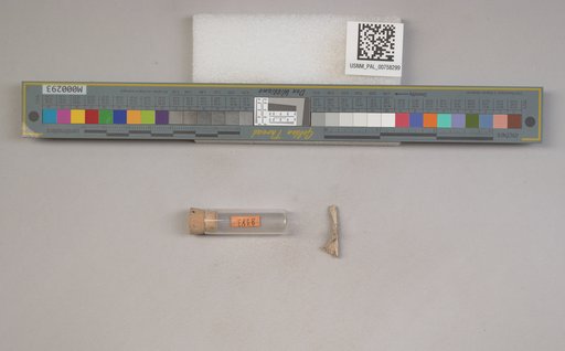 NSF ADBC EPICC TCN