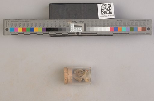 NSF ADBC EPICC TCN