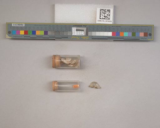 NSF ADBC EPICC TCN