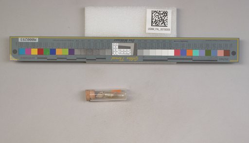 NSF ADBC EPICC TCN