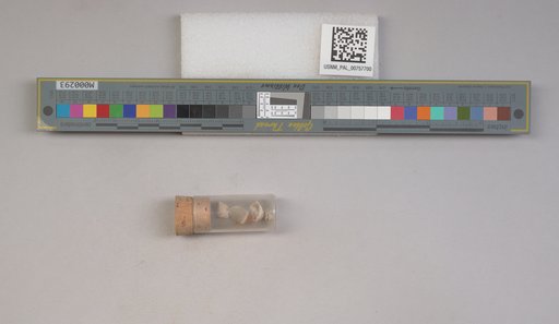 NSF ADBC EPICC TCN
