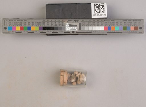 NSF ADBC EPICC TCN