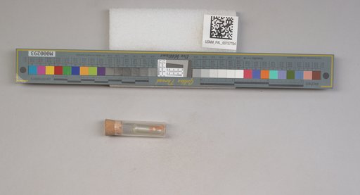 NSF ADBC EPICC TCN