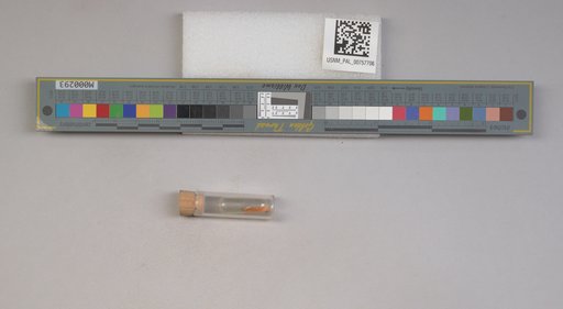 NSF ADBC EPICC TCN