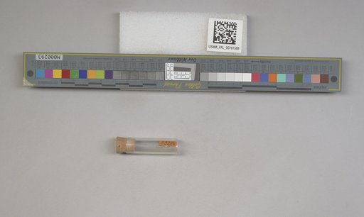 NSF ADBC EPICC TCN