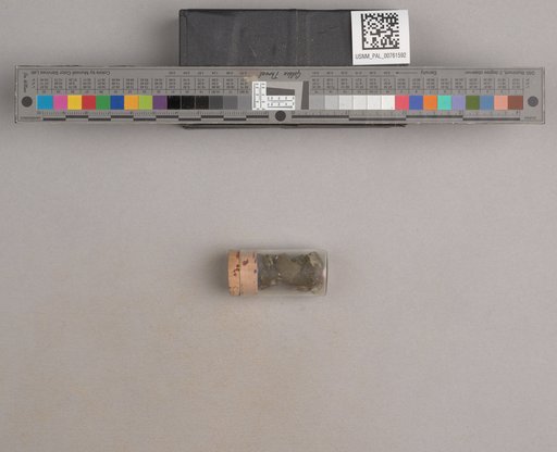 NSF ADBC EPICC TCN