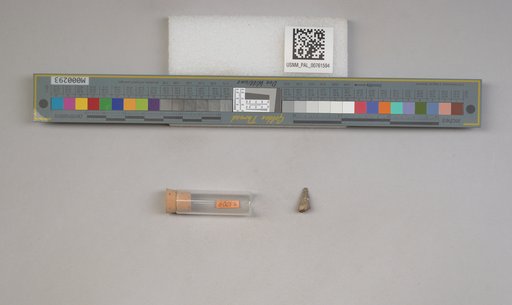 NSF ADBC EPICC TCN