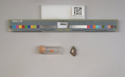 NSF ADBC EPICC TCN