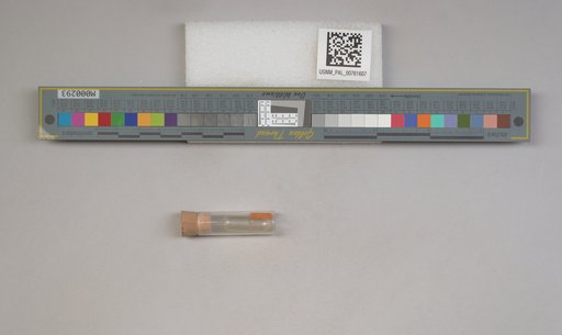 NSF ADBC EPICC TCN