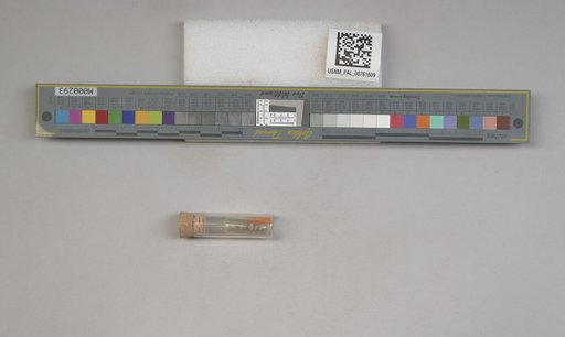 NSF ADBC EPICC TCN