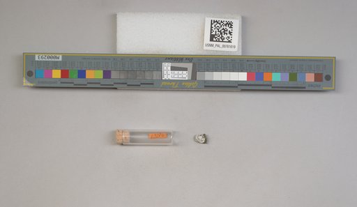 NSF ADBC EPICC TCN