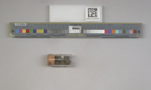 NSF ADBC EPICC TCN