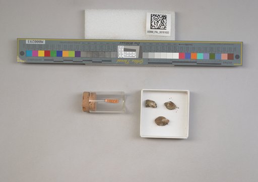 NSF ADBC EPICC TCN
