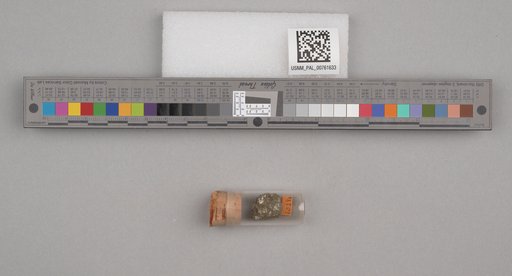 NSF ADBC EPICC TCN