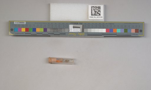 NSF ADBC EPICC TCN