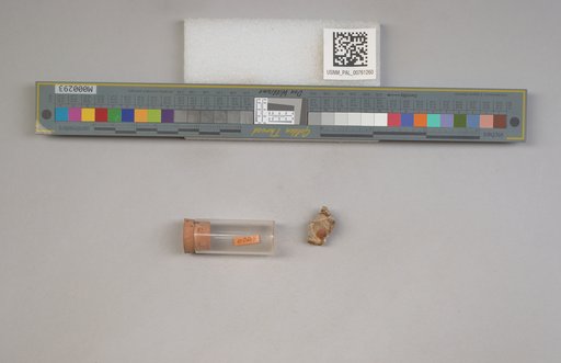 NSF ADBC EPICC TCN