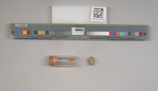 NSF ADBC EPICC TCN