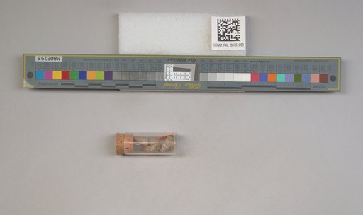 NSF ADBC EPICC TCN