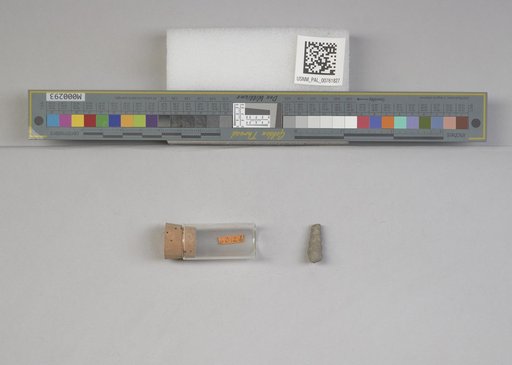 NSF ADBC EPICC TCN
