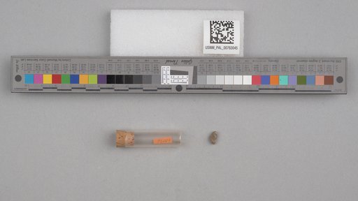 NSF ADBC EPICC TCN
