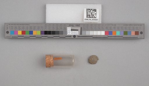 NSF ADBC EPICC TCN