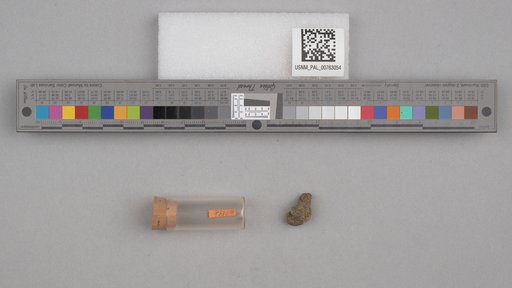 NSF ADBC EPICC TCN