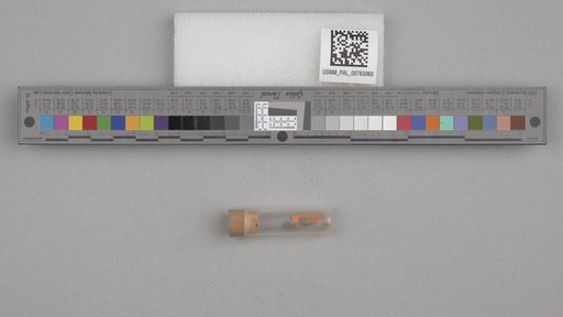 NSF ADBC EPICC TCN