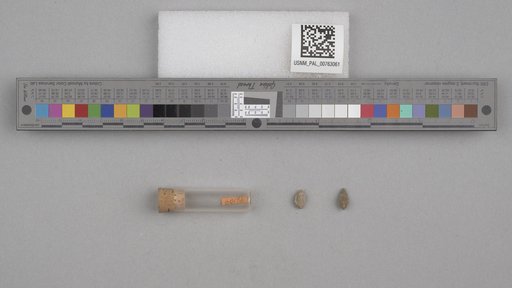 NSF ADBC EPICC TCN