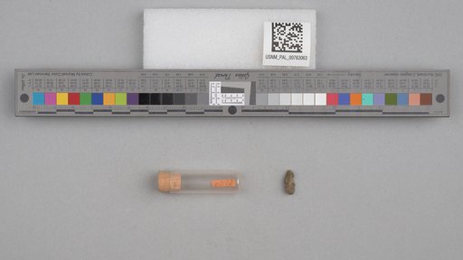NSF ADBC EPICC TCN