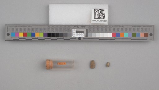 NSF ADBC EPICC TCN