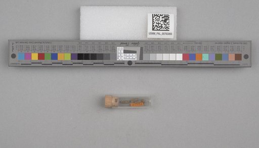 NSF ADBC EPICC TCN