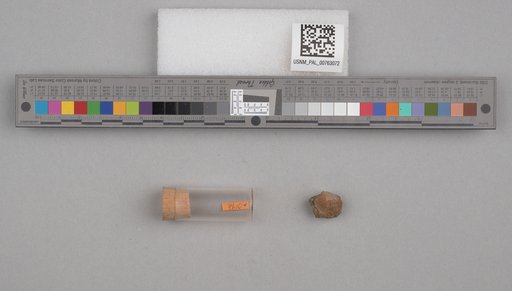 NSF ADBC EPICC TCN